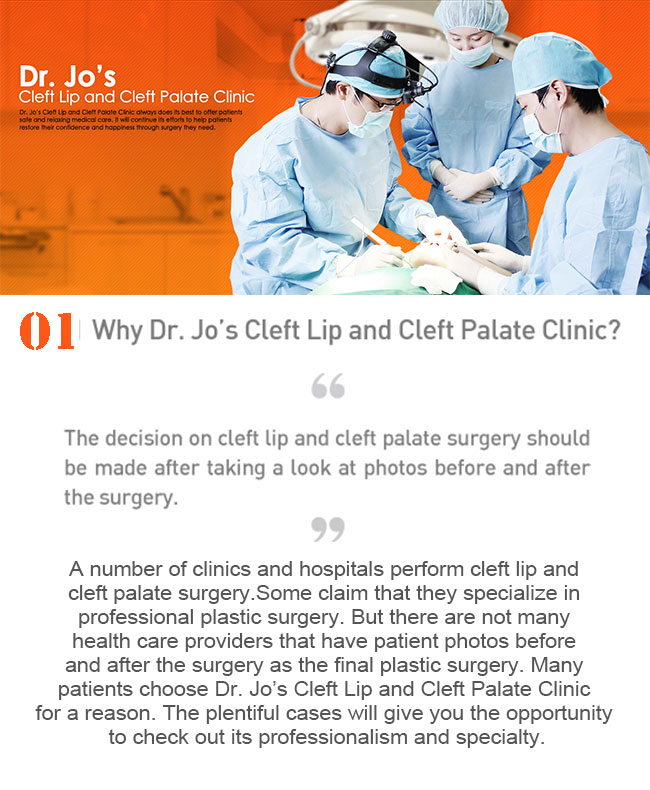 Misou Plastic Surgery 1